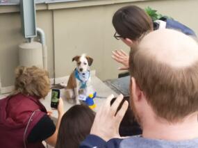 Keine Beschwörung, sondern nur ein Making of des nachfolgenden Fotos