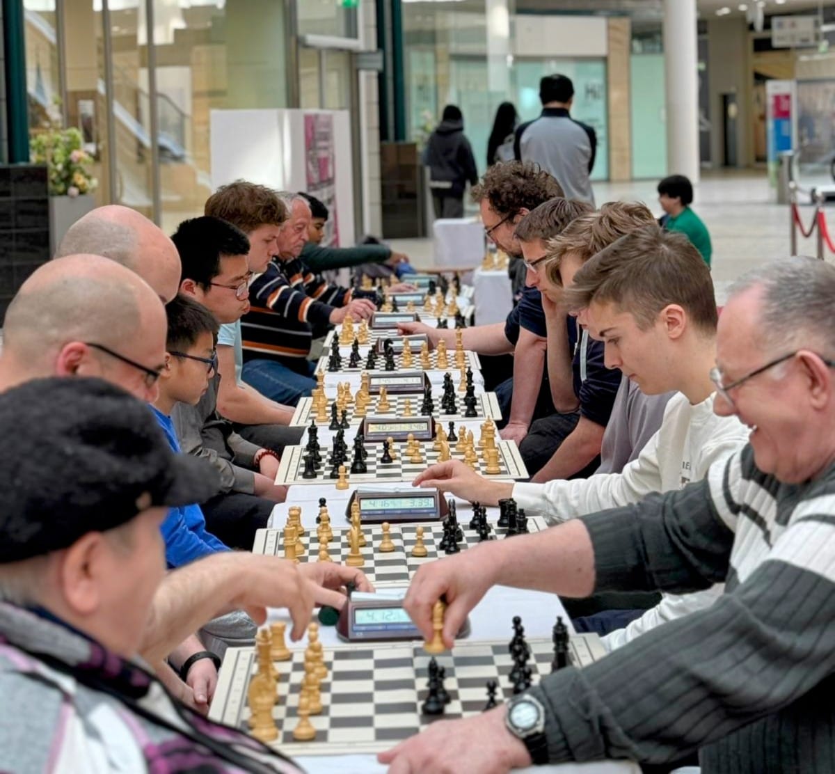 Faszination Schach - Schachtage in der Dreiländergalerie in Weil am Rhein